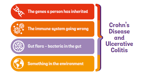 IBD causes
