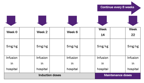 infliximab dosage schedule