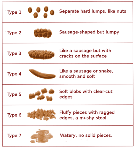 The Bristol Stool Form Scale