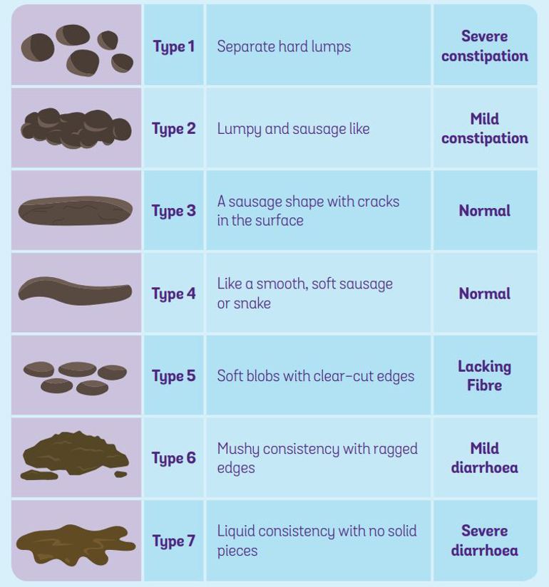 Bristol stools chart