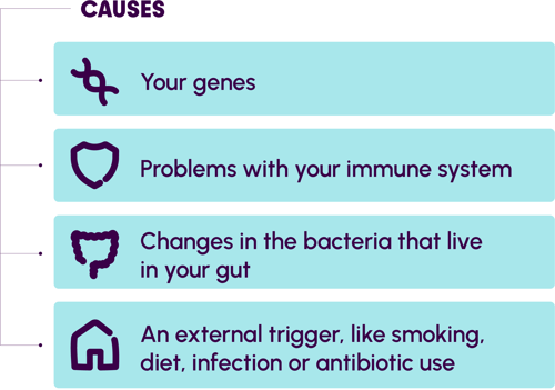 Graphic with the causes of Crohn's or Colitis listed as your genes, problems with your immune system, changes in the bacteria that live in your gut, and an external trigger like smoking, diet an infection or antibiotic use