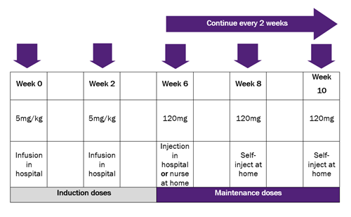 infliximab dosing schedule injections graphic