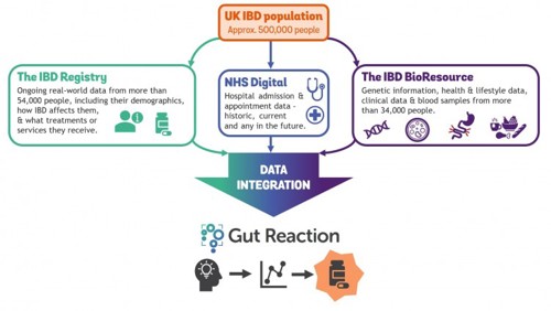 Gut Reaction
