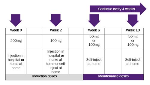 golimumab dosing schedule graphic